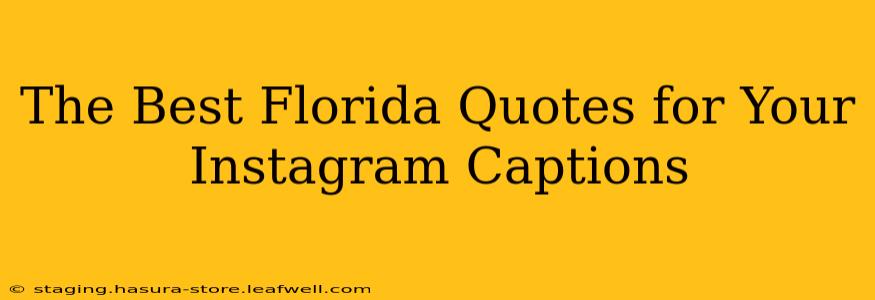 The Best Florida Quotes for Your Instagram Captions
