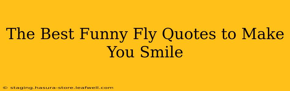 The Best Funny Fly Quotes to Make You Smile