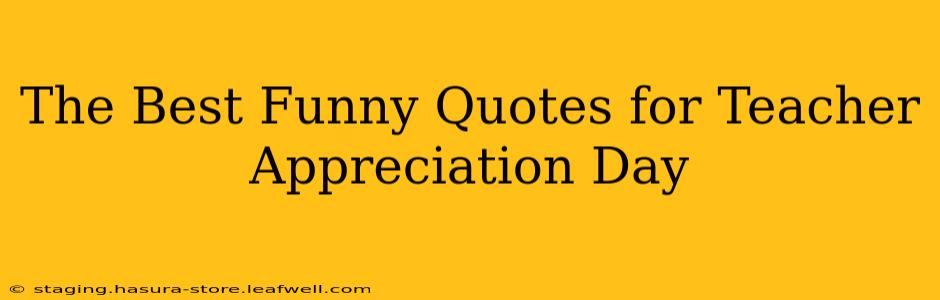 The Best Funny Quotes for Teacher Appreciation Day