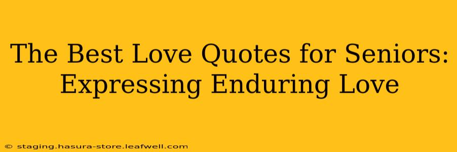 The Best Love Quotes for Seniors: Expressing Enduring Love