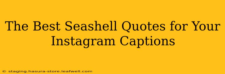 The Best Seashell Quotes for Your Instagram Captions