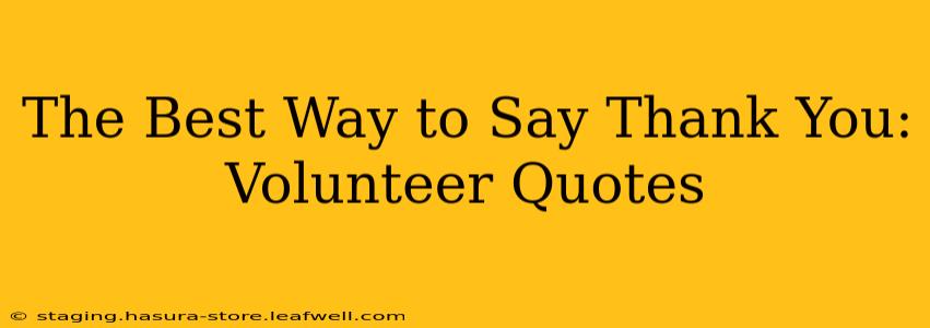 The Best Way to Say Thank You: Volunteer Quotes
