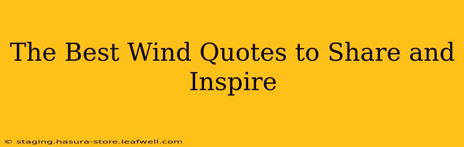 The Best Wind Quotes to Share and Inspire