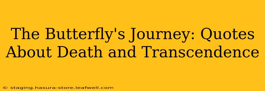 The Butterfly's Journey: Quotes About Death and Transcendence