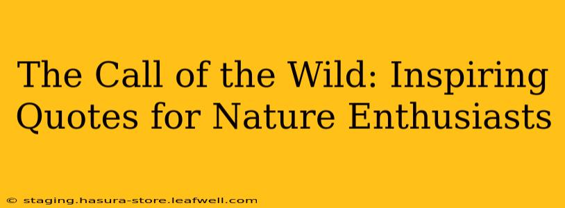 The Call of the Wild: Inspiring Quotes for Nature Enthusiasts