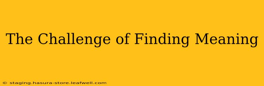The Challenge of Finding Meaning