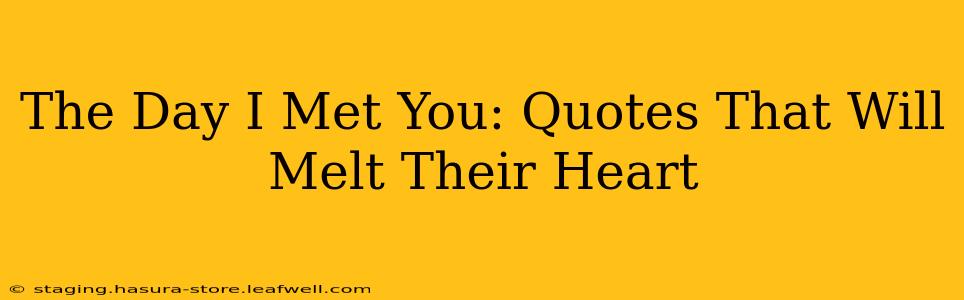 The Day I Met You: Quotes That Will Melt Their Heart