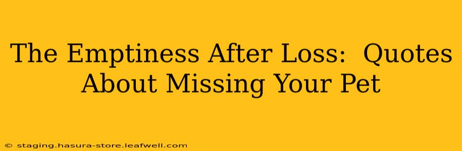 The Emptiness After Loss:  Quotes About Missing Your Pet