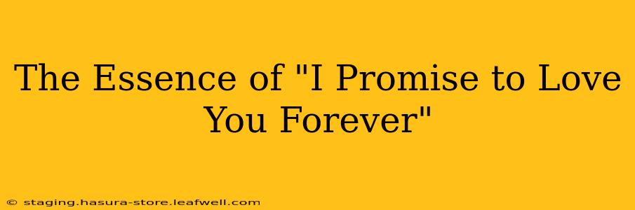 The Essence of "I Promise to Love You Forever"