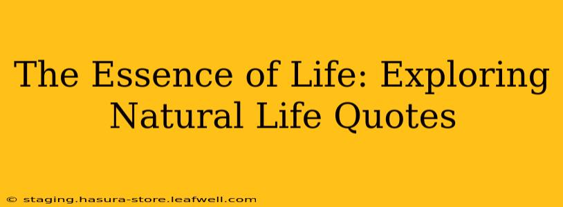 The Essence of Life: Exploring Natural Life Quotes