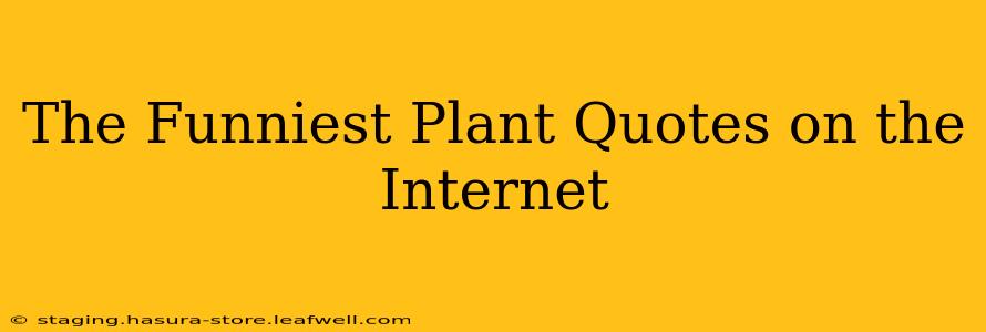 The Funniest Plant Quotes on the Internet
