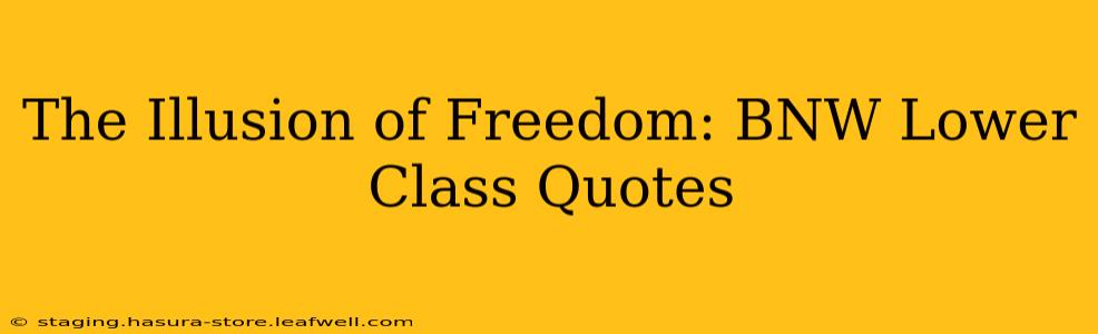 The Illusion of Freedom: BNW Lower Class Quotes