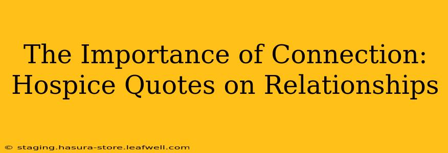 The Importance of Connection:  Hospice Quotes on Relationships