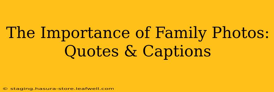 The Importance of Family Photos: Quotes & Captions