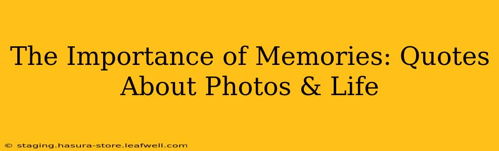 The Importance of Memories: Quotes About Photos & Life