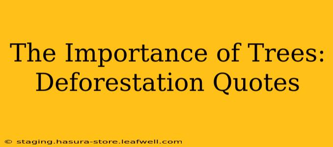 The Importance of Trees: Deforestation Quotes