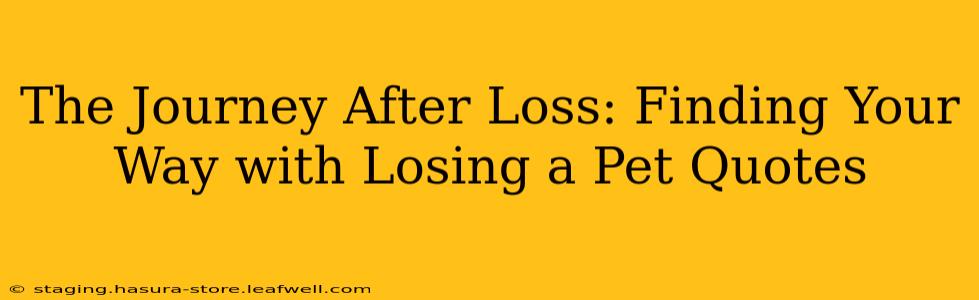 The Journey After Loss: Finding Your Way with Losing a Pet Quotes