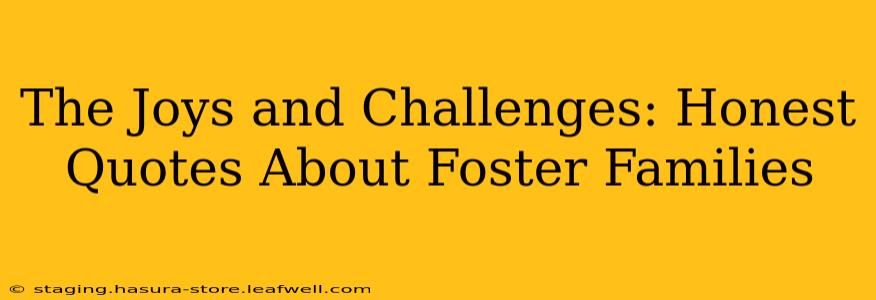 The Joys and Challenges: Honest Quotes About Foster Families