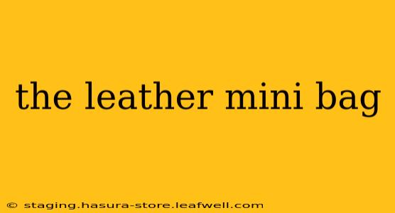 the leather mini bag