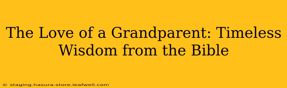 The Love of a Grandparent: Timeless Wisdom from the Bible