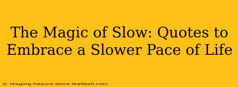 The Magic of Slow: Quotes to Embrace a Slower Pace of Life