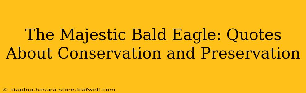 The Majestic Bald Eagle: Quotes About Conservation and Preservation