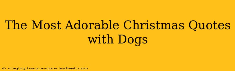 The Most Adorable Christmas Quotes with Dogs