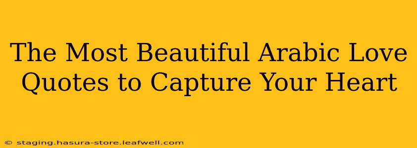 The Most Beautiful Arabic Love Quotes to Capture Your Heart