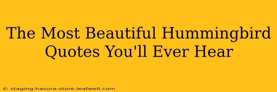 The Most Beautiful Hummingbird Quotes You'll Ever Hear