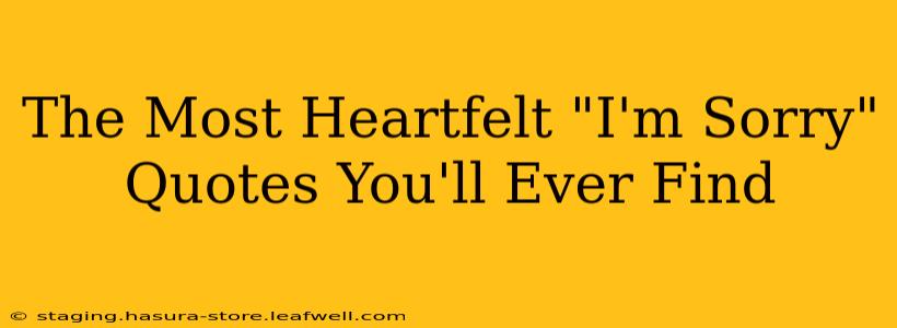 The Most Heartfelt "I'm Sorry" Quotes You'll Ever Find