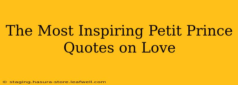 The Most Inspiring Petit Prince Quotes on Love