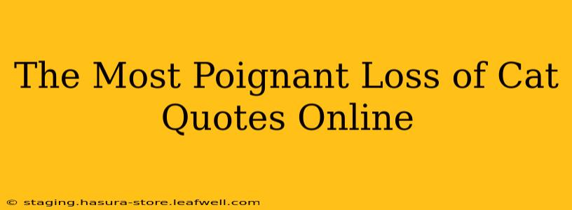 The Most Poignant Loss of Cat Quotes Online