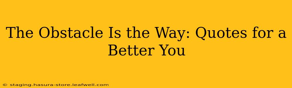The Obstacle Is the Way: Quotes for a Better You