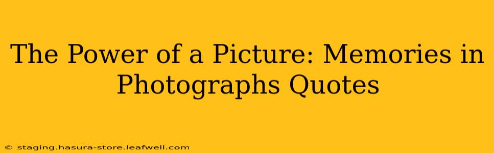 The Power of a Picture: Memories in Photographs Quotes