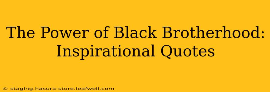 The Power of Black Brotherhood: Inspirational Quotes