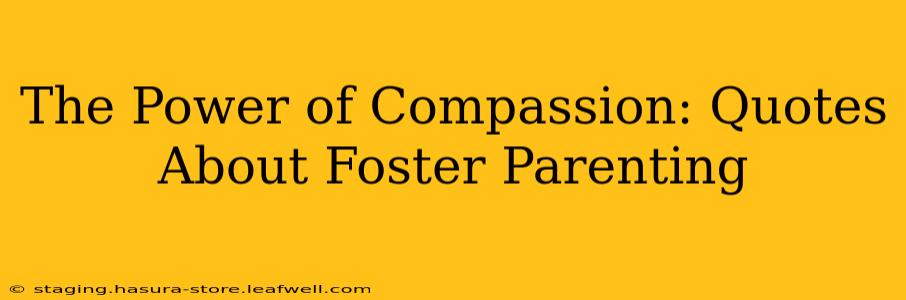 The Power of Compassion: Quotes About Foster Parenting