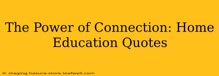 The Power of Connection: Home Education Quotes