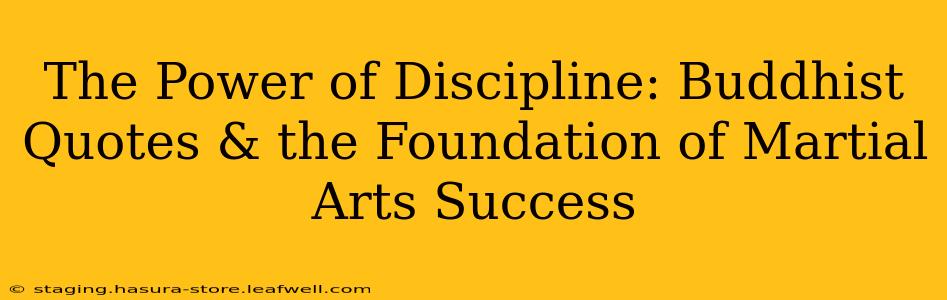 The Power of Discipline: Buddhist Quotes & the Foundation of Martial Arts Success