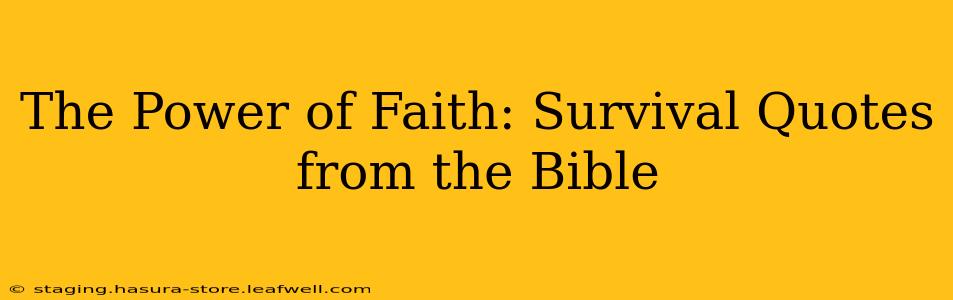 The Power of Faith: Survival Quotes from the Bible
