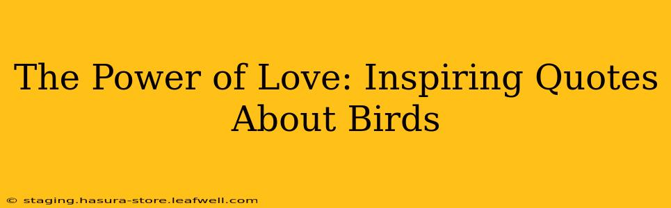 The Power of Love: Inspiring Quotes About Birds