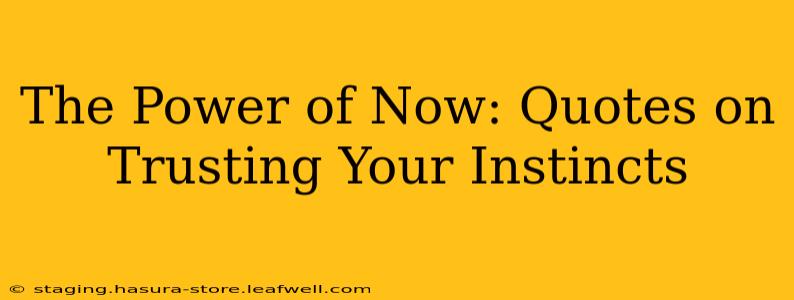 The Power of Now: Quotes on Trusting Your Instincts