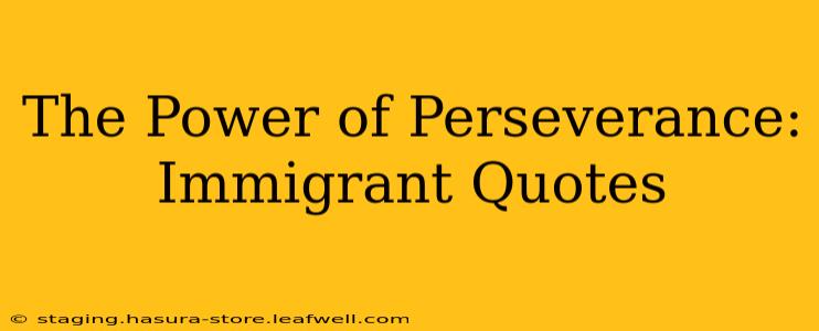 The Power of Perseverance: Immigrant Quotes