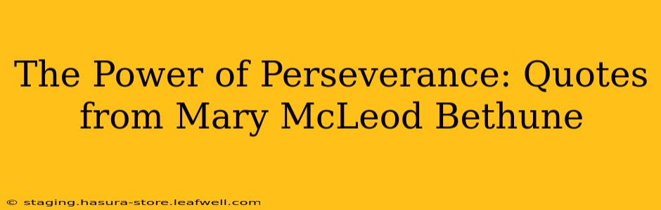 The Power of Perseverance: Quotes from Mary McLeod Bethune