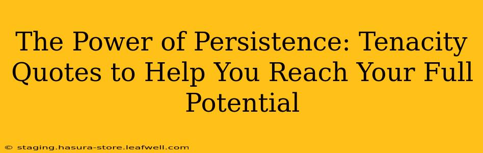 The Power of Persistence: Tenacity Quotes to Help You Reach Your Full Potential