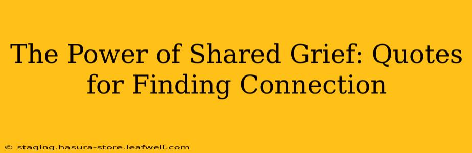 The Power of Shared Grief: Quotes for Finding Connection
