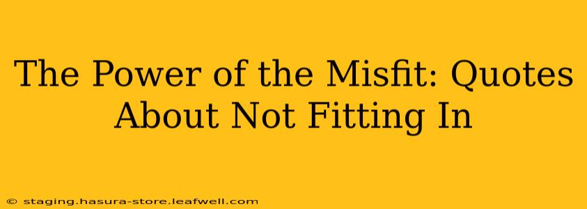 The Power of the Misfit: Quotes About Not Fitting In