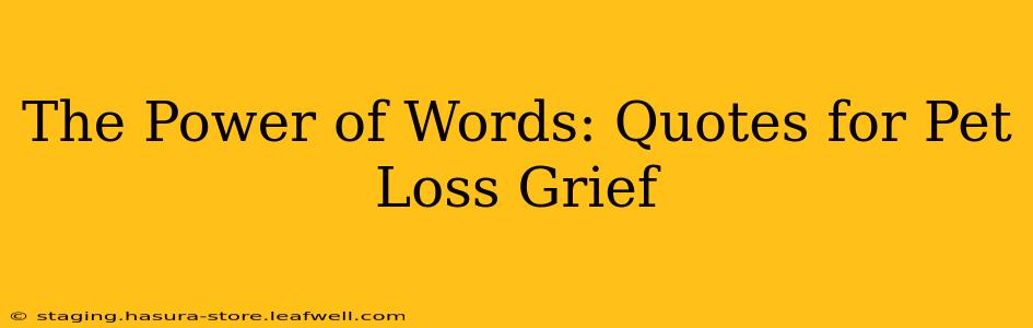 The Power of Words: Quotes for Pet Loss Grief