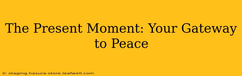 The Present Moment: Your Gateway to Peace
