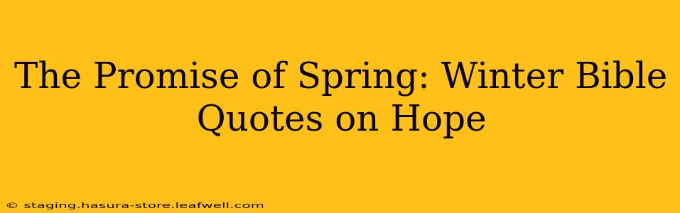 The Promise of Spring: Winter Bible Quotes on Hope