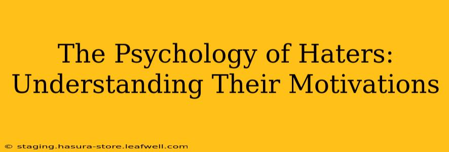 The Psychology of Haters: Understanding Their Motivations